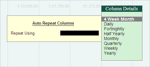 Cash Flow Projection report in different Column details